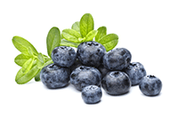 blueberry-extract